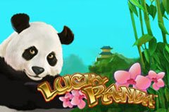 Slot Lucky Panda JOKER123