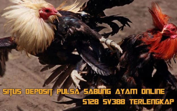 Sabung Ayam Online Deposit Pulsa