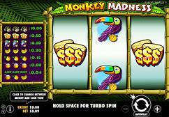 Slot Monkey Madness