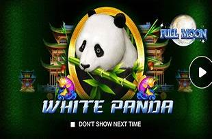 Full Moon White Panda Slot Online Playtech